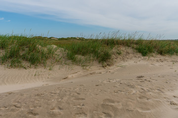 Sanddünen an der Küste