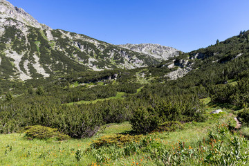 Landscape near The Fish Lakes, Rila mountain, Bulgaria