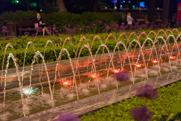 Fountain along the walkway in the park in the evening with flowers on a background.