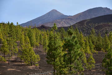 Teide Tenerife