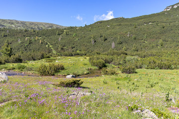 Fototapeta na wymiar Landscape near The Fish Lakes, Rila mountain, Bulgaria