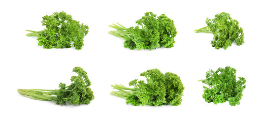Obraz premium Set of fresh green parsley on white background
