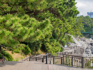 Wooden trail along the shore in Haeundae