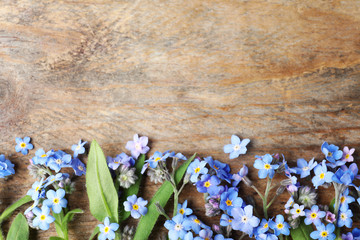 Beautiful forget-me-not flowers and space for text on wooden background, flat lay