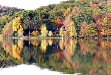 Beautiful maple forest beside lake, Saint-Bruno, Quebec