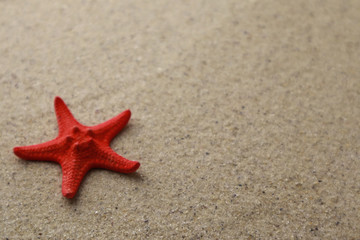 Fototapeta na wymiar Red starfish on sand background with space for text