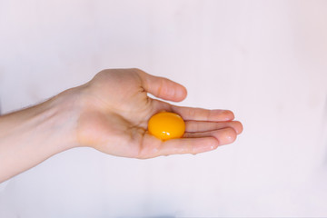 yolk in the hand of a woman on a white background. close up