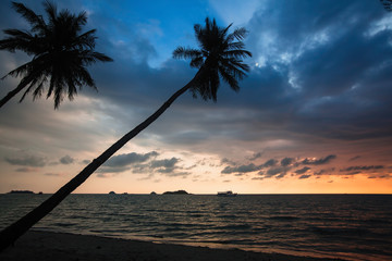 Palm trees on a tropical sea beach during amazing sunset.