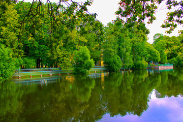Fototapeta na wymiar pond in the Park with trees and bushes on the banks