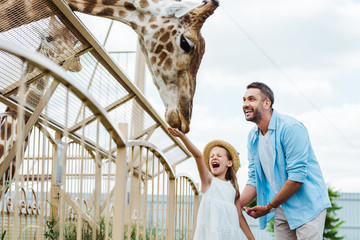Selective focus of cheerful man and kid with closed eyes feeding giraffe in zoo - obrazy, fototapety, plakaty