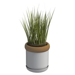 Home plant 3d illustration isolated on the white background