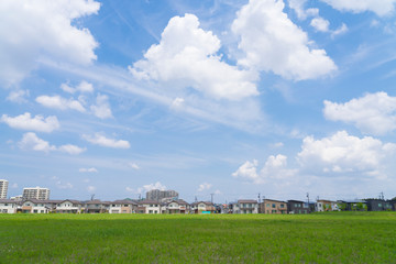 住宅街　イメージ　分譲住宅　青空と緑