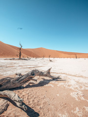 Fototapeta na wymiar Namib Desert