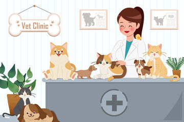 vet clinic concept