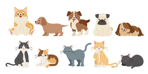 cute cartoon dogs and cats - obrazy, fototapety, plakaty