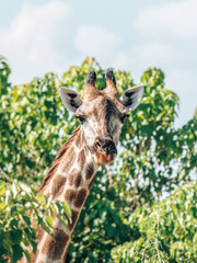 Botswana
