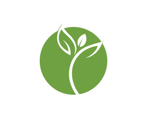 Leaf background icon illustration