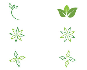 Leaf background icon illustration