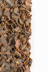 gastrodia tuber slices on white