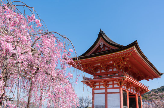 「清水寺仁王門」の写真素材 | 842件の無料イラスト画像 | Adobe Stock