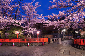 京都　祇園　巽橋　桜　夜景