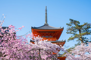 Obraz premium Kioto Wiśnia Kiyomizu-dera Potrójna wieża