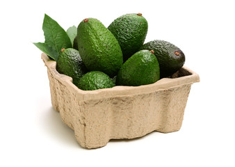 Avocado on a white background