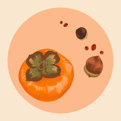 Vector Autumn's fruits illustration. Included persimmon and chestnut., Handcrafted decoration illustration. Persimmon and chestnut, flat style vector asset.