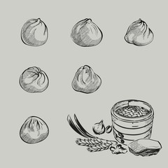 Vector illustration sketch for asian steam buns with vintage style. include materials, like ginger, green onion, garlic, pork, wheat.