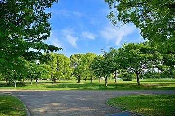 新緑に包まれた公園の情景