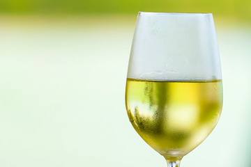 wine white on a table in the sunlight