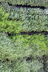 Vertical Herb Garden