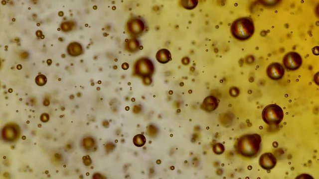 carbonated ascending in a liquid with a background that changes colors