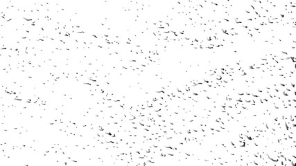 Grunge black and white pattern. Monochrome particles abstract texture. Background of cracks, scuffs, stains, lines. Design background surface. Gray printing element