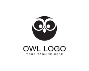Owl logo template vector