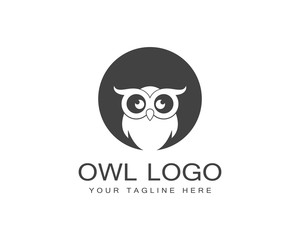Owl logo template vector