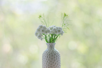 Flowers in a vase on bokeh background with sunlight pattern. Postcard concept