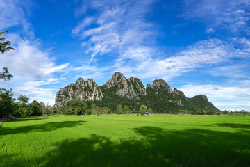 Fototapeta na wymiar beautiful mountain on blue sky background , rice fields Foreground , Nakhon Sawan province , North of thailand- landscape Thailand