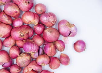 Red Onion. Shallot on white background with copy space