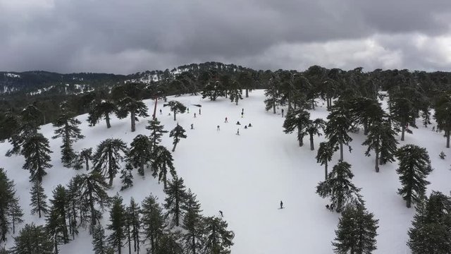 Snow mountains and pine woodlands in Mediterranean