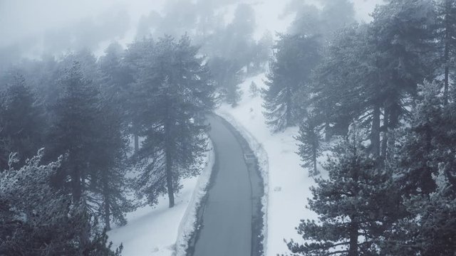 Snow mountains and pine woodlands in Mediterranean
