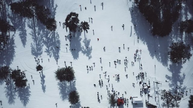 Snow mountains and pine woodlands in Mediterranean