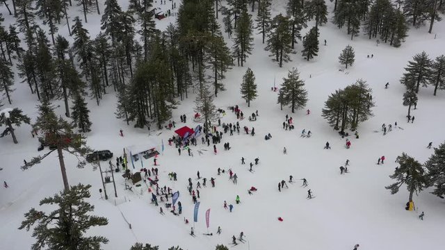 Snow mountains and pine woodlands in Mediterranean