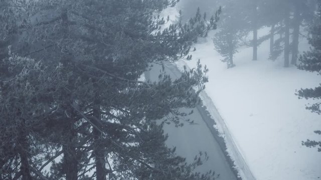 Snow mountains and pine woodlands in Mediterranean