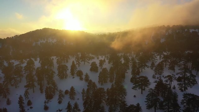 Snow mountains and pine woodlands in Mediterranean