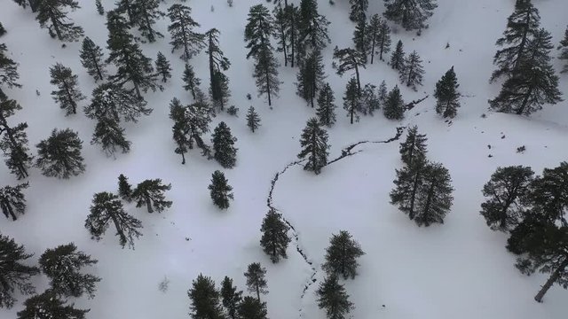 Snow mountains and pine woodlands in Mediterranean