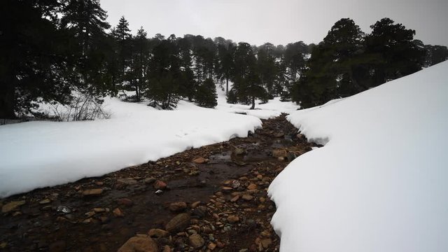 Snow mountains and pine woodlands in Mediterranean