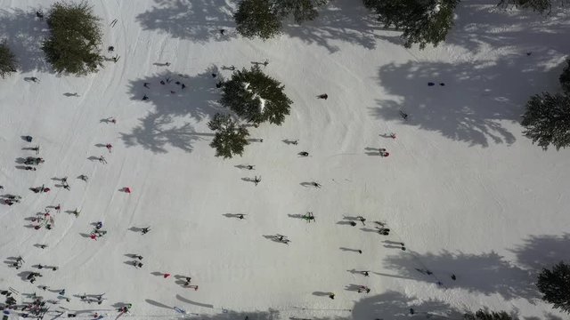 Skyers at Snow mountains and pine woodlands in Mediterranean