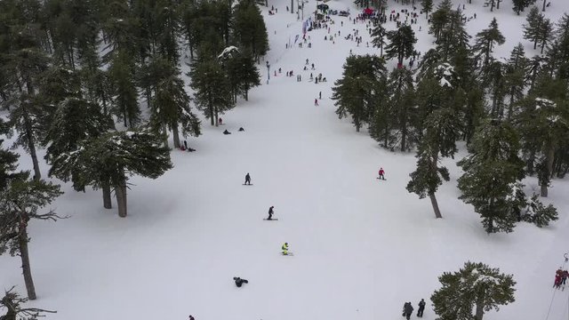 Snow mountains and pine woodlands in Mediterranean