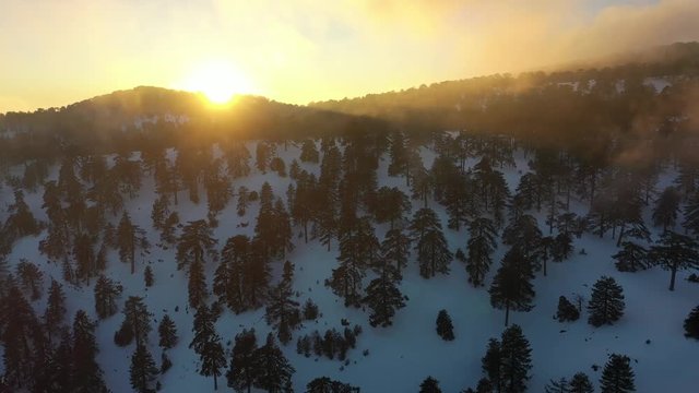 Snow mountains and pine woodlands in Mediterranean